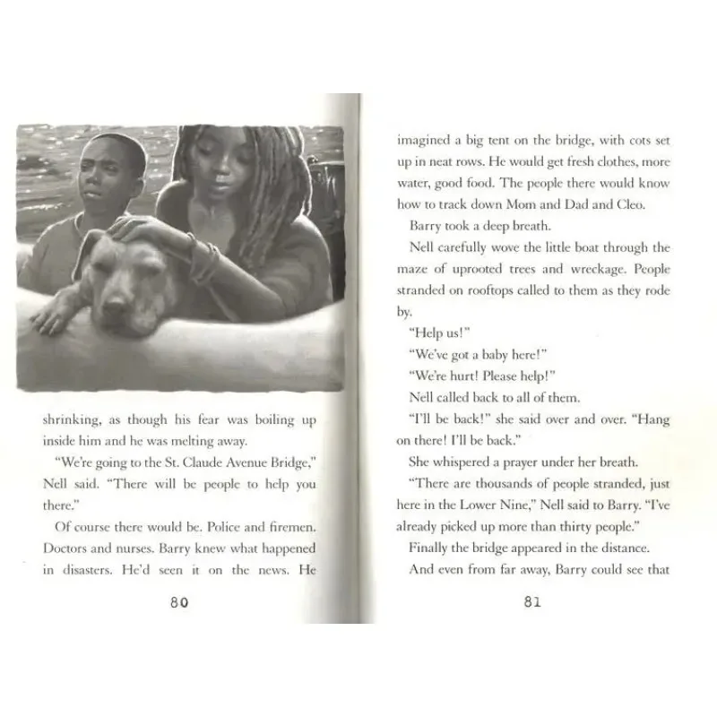 English novel - Disaster history - Teenagers - Supplementary reading material