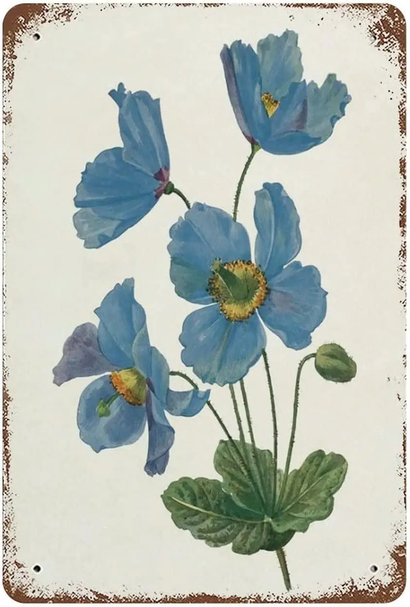 Vintage MéTal éTain…