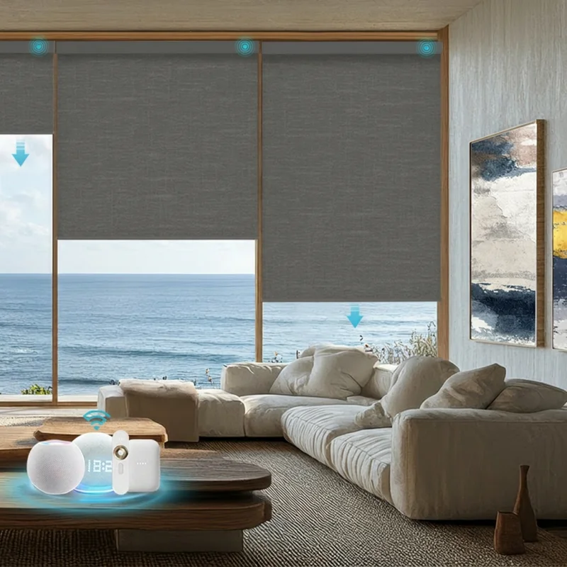 Smart Wifi 100%Blackout Polyester Fabric Roller Shades Voice Control Alexa Google Zigbee Tuya Motorized Roller Blinds For House