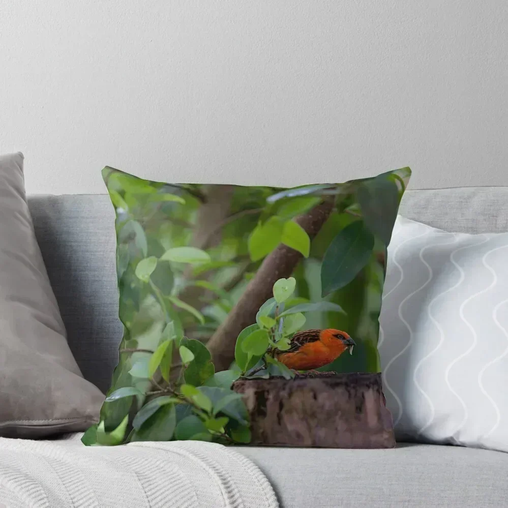 

Red bird in the forest Throw Pillow Luxury Cushion Cover Bed pillowcases Elastic Cover For Sofa pillow