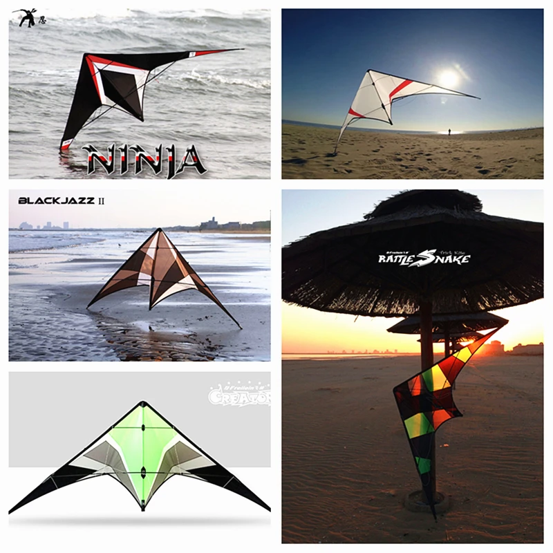 Freilein kite Factory dual line stunt kite flying professional wind kites for adults reel outdoor play toy Kevlar flying dragon