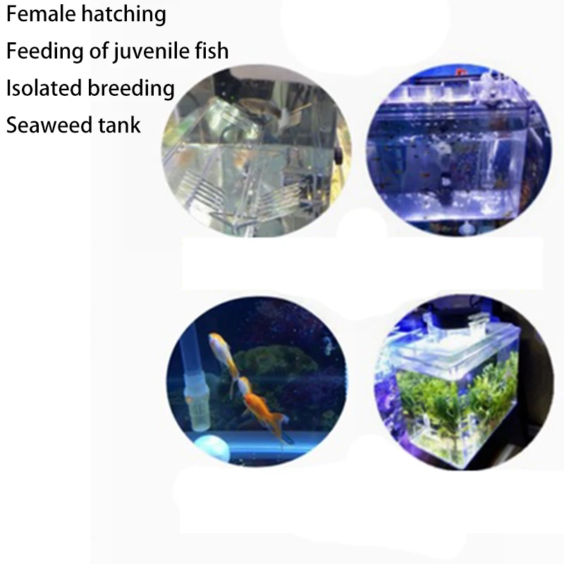 Clear Fish Tank Breeding Hatchery House Incubator Aquarium Transparent Breeder Isolation Hanging Box Reptile Turtle-A51M