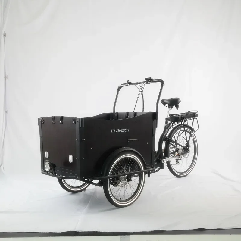 Cargo Electric Trike 3 Wheel Cargo Electric Tricycle Family Cargo Trike