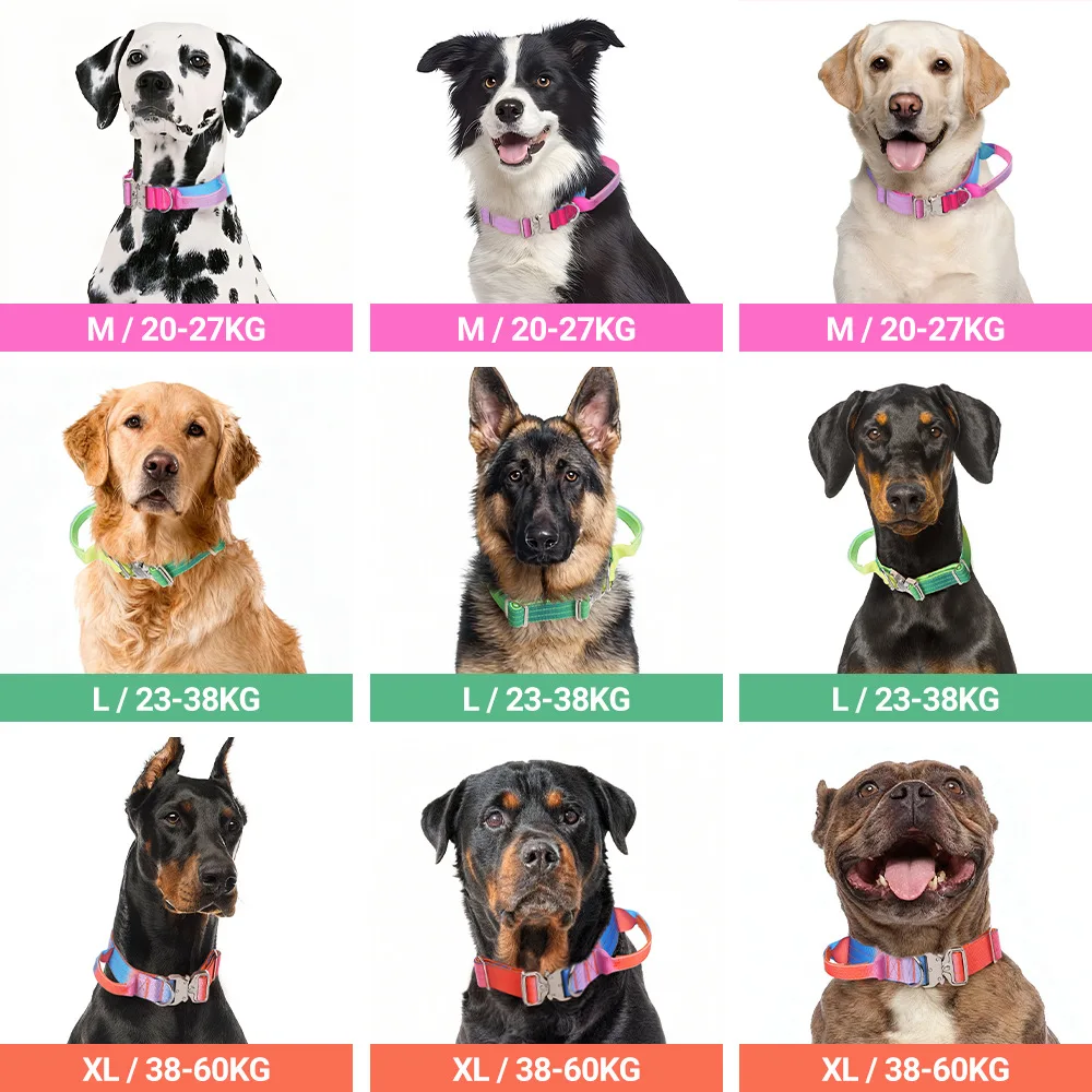 New Gradient Color Outdoor Adjustable Tactical Collar Training Tactics Dog Harness Dog Accessories for Medium Large Dogs view 3