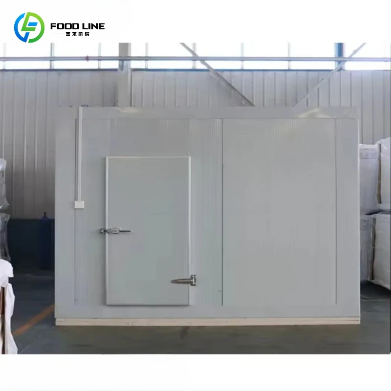 Commercial Custom Walk-in Mobile Cold Room for Seafood Meat Freezer Cooler Storage Small Movable Refrigerated System Cold Room