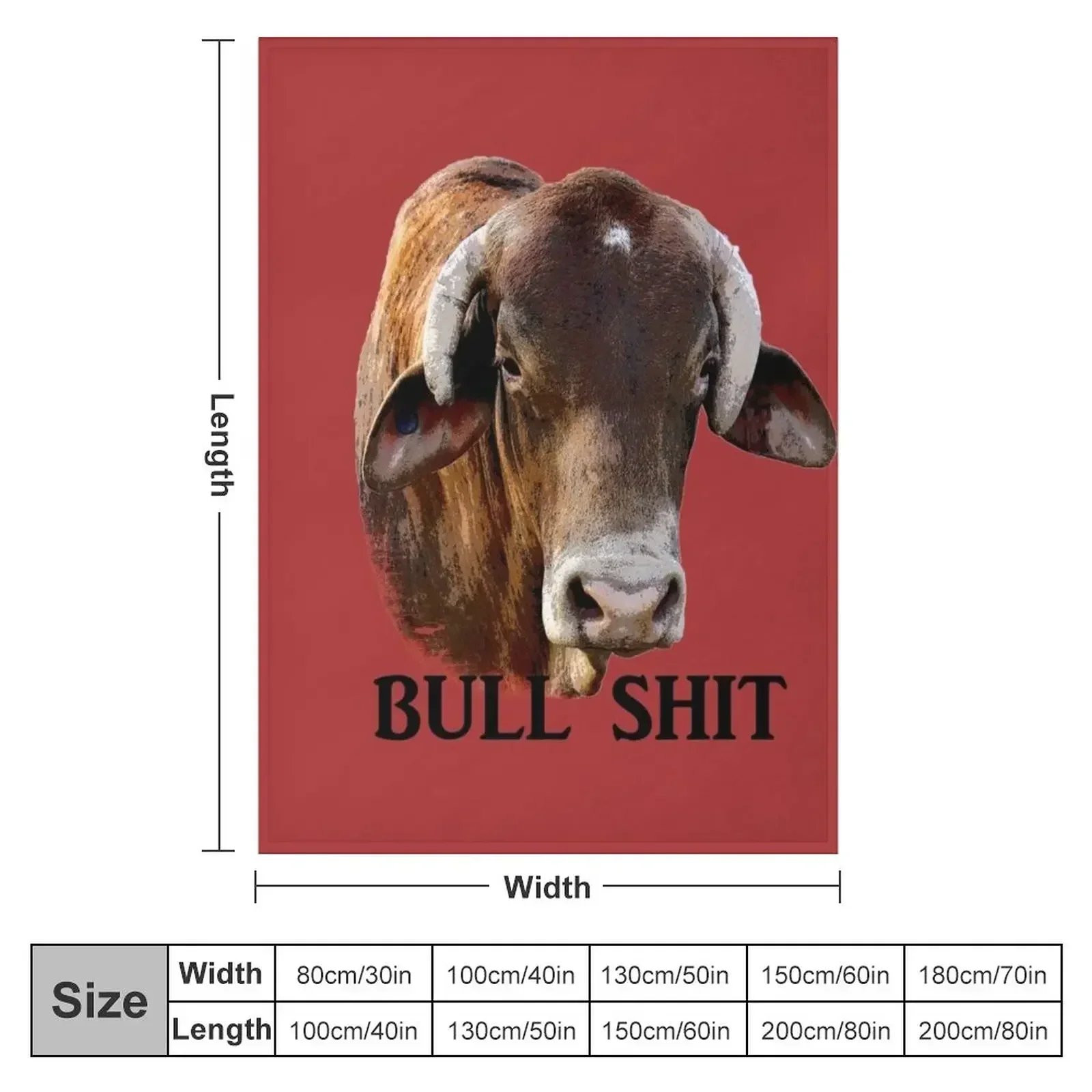 RODEO BULL, RODEO QUOTE Throw Blanket couch cozy soft plush fuzzy picnic outdoor blanket