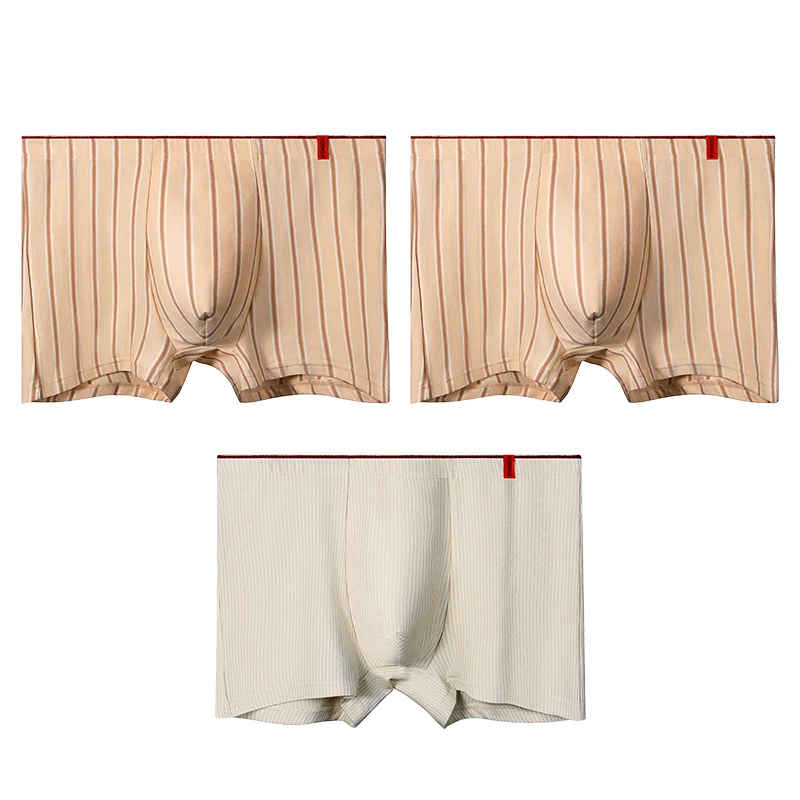 2 pezzi di biancheria intima da uomo in puro cotone. Questi sono boxer a righe alla moda, progettati per lo sport. Sono i pantaloncini da uomo adatti per
