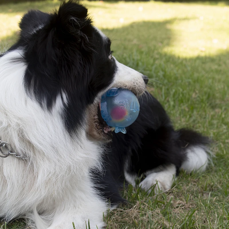 Hund Kauen Spielzeug Training Sound Silikon Ball Simulierte Fisch Form Hund Spielzeug Interaktive Reinigung Zähne Haustier Zubehör – Detail 3