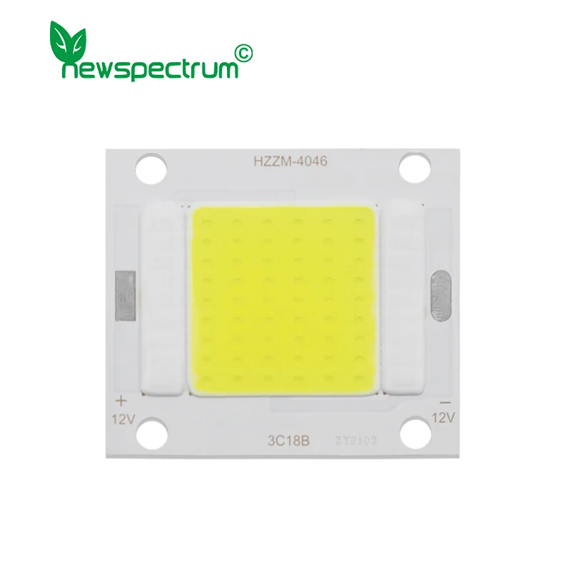 DC 3V 12V 24V 30V LED COB Chip 4W 18W 20W 30W 50W for Spotlight Diode LED Module Solar Light Floodlight Lamp Source