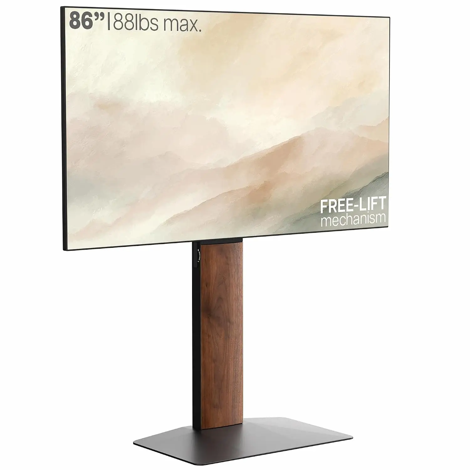 TV Floor Stand 55