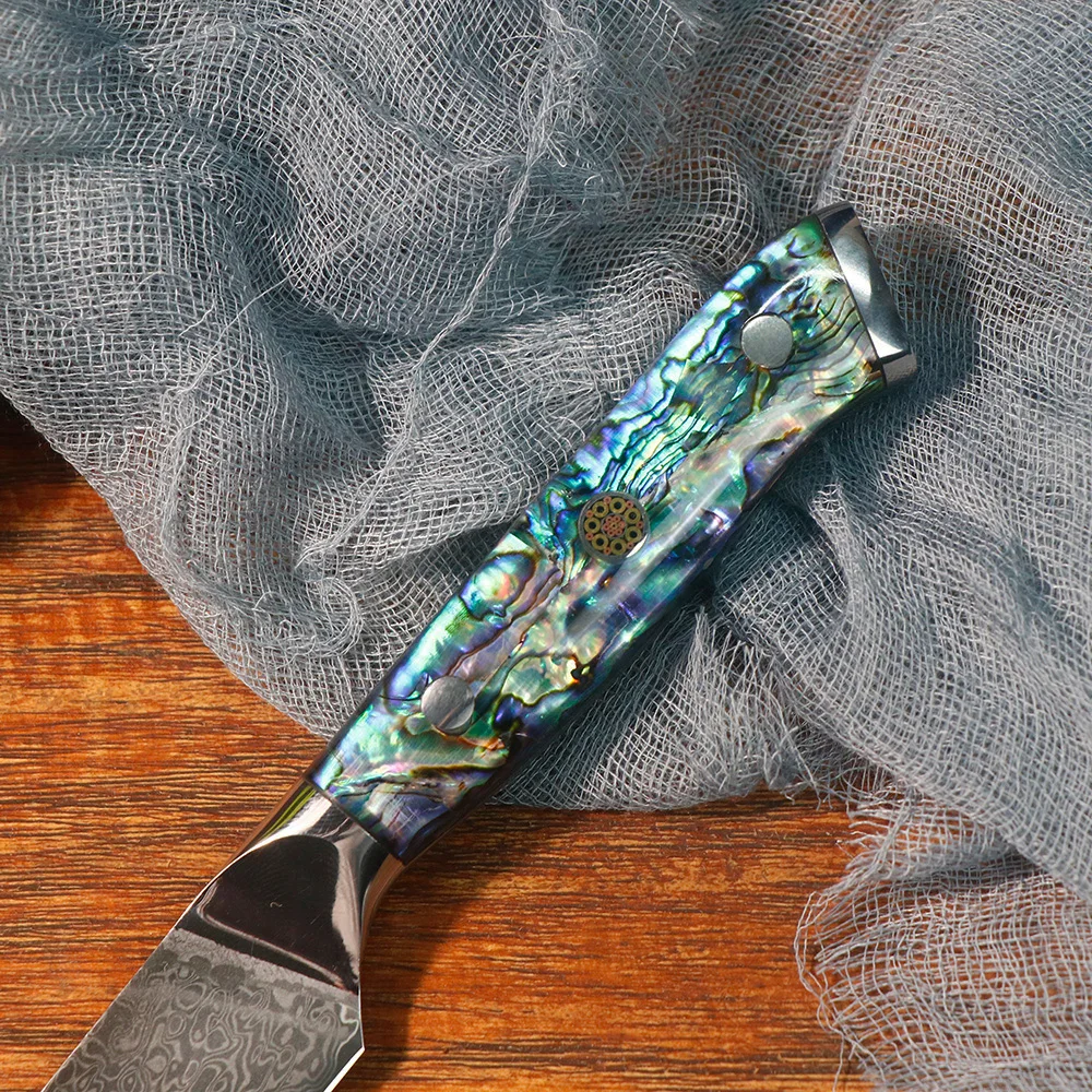 JUMCSONG 5.5-inch Steak Knife, Super Damascus Steel 10Cr15CoMoV Core, Sigh Hardness Kitchen Knife, Abalone Shell Handle