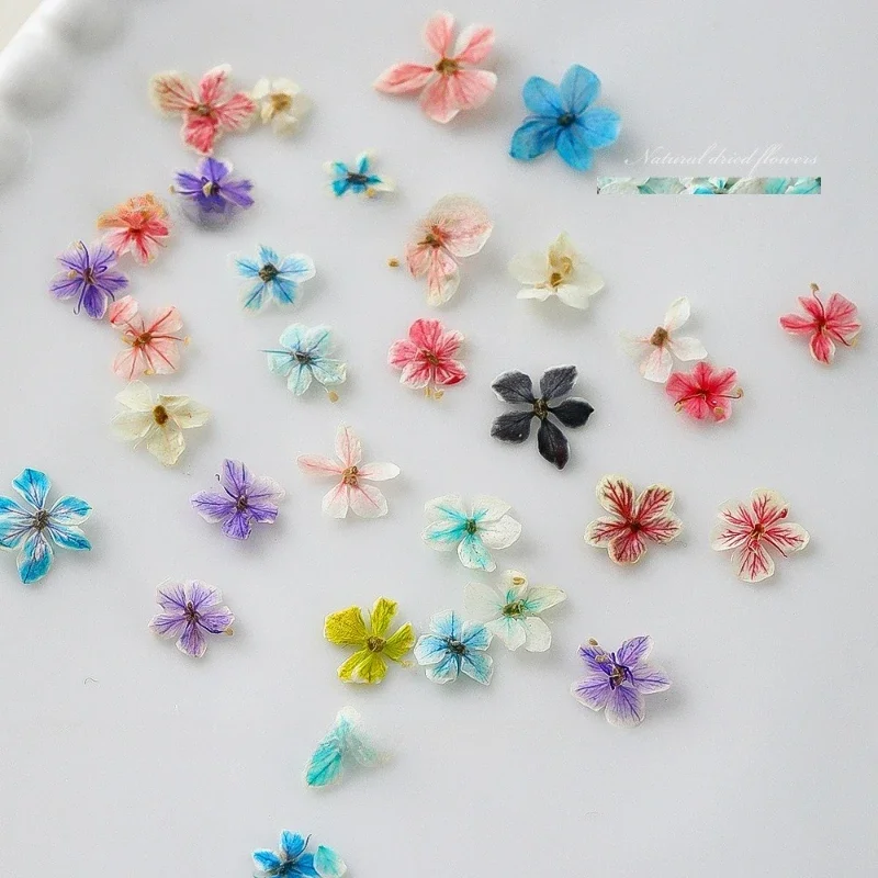 1個入り 夏のグラデーションフローラルネイルアート ドライフラワー ミックスカラー 天然押し花 ハンドメイドDIY ボックス入り ウェアラブルネイル素材