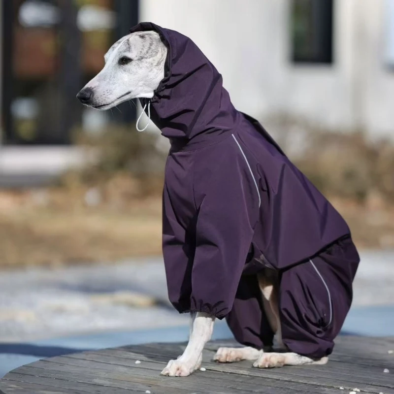 Abrigo impermeable para perros Greyhound y Whippet – Antimancha - imagen 4