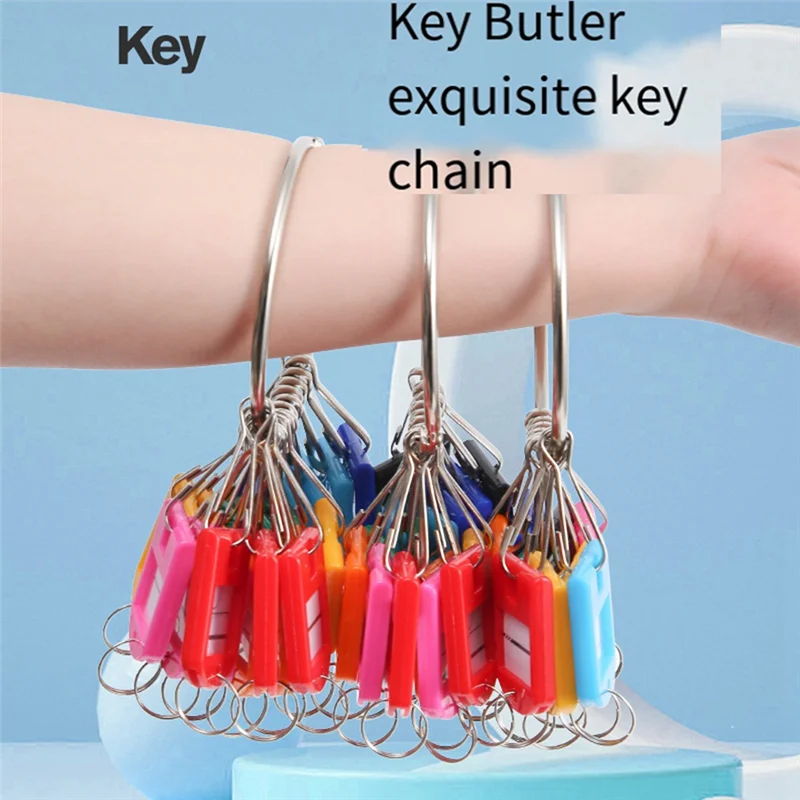 Portable Metal Ring Key Organizer with 20 Spring Hooks & Key Tags with Ring and Label Window