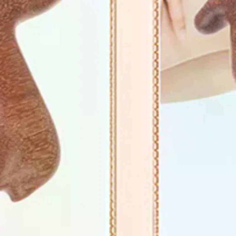 Zodiac Horse Year Wooden Sandalwood Comb Four Teeth Scalp Relax Neck Body Meridian Massage Comb Anti-Static Smooth Hair Brush