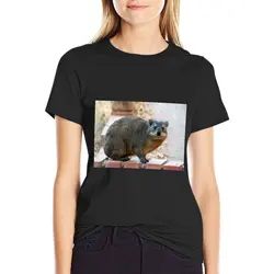 Dassie / Rock hyrax T-Shirt korean fashion aesthetic clothes Woman T-shirts