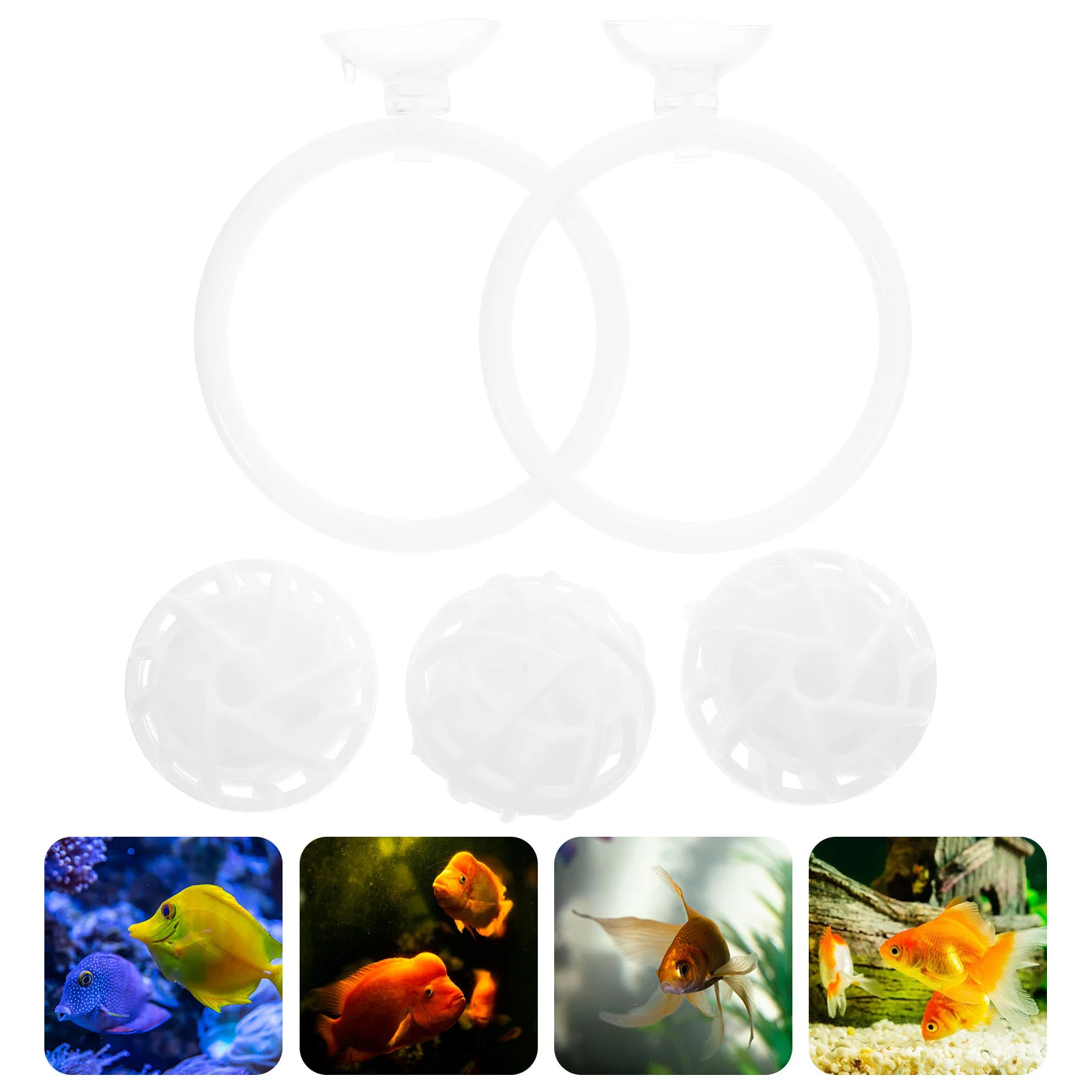 

Betta Training Ring Filter Biological Balls Pond Water Filtration Aquarium Loop Fish Interactive Toys Sports Fitness