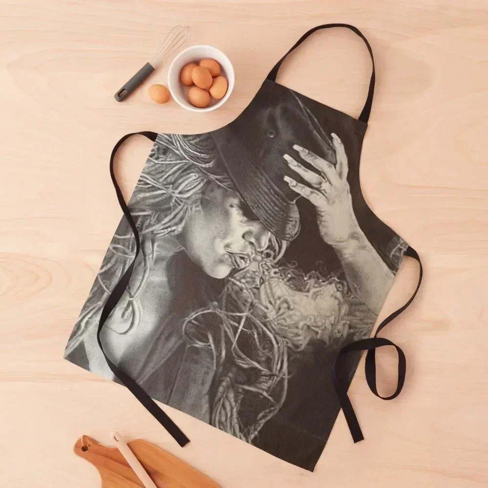 

Jenni Rivera Poster Apron chefs Woman Kitchen For Nail Stylist Things For Home And Kitchen Apron