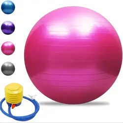 65CM PVC Fitness Balls Yoga Ball Thickened Explosion-proof Exercise Home Gym Pilates Equipment Balance Ball