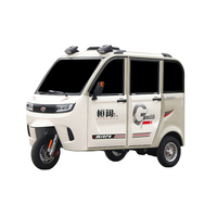 High-Quality Adult Electric Trike | Cheap 3-Wheel Mobility Scooter for Elderly Users