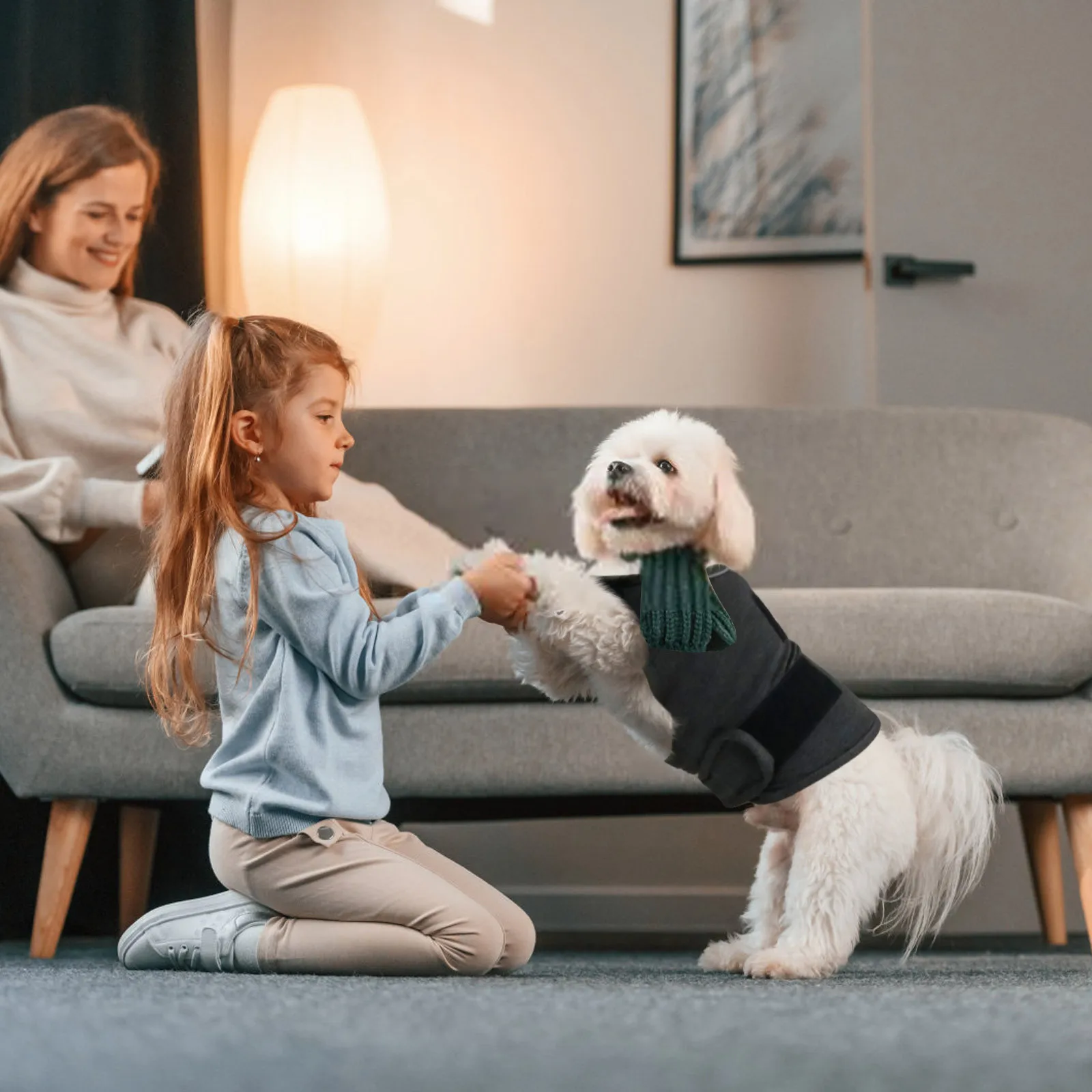 Жилет для беспокойства для собак, приятная для кожи куртка для собак, успокаивающая рубашка для собак, для ветеринарных посещений и разделительных средств, сохраняйте спокойствие домашних животных без тренировок