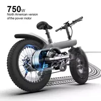 WOYU Q3 Electric Bicycle 20 Inch Large Motor 48V 13AH Bicycle Electric Adult Electric Bicycle Elegant Gray Strong Power