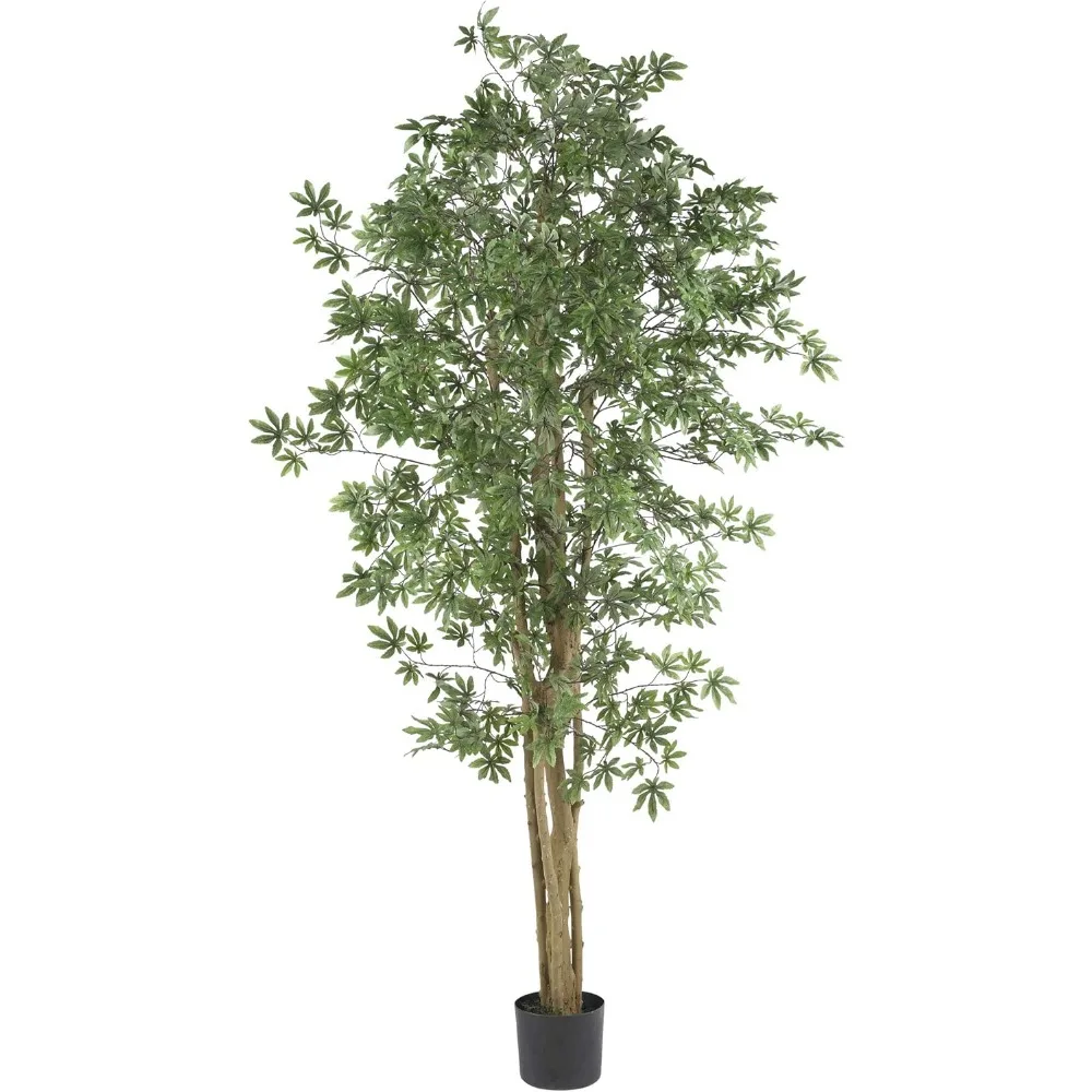 

Almost Natural 6 Feet. Maple Silk Tree
