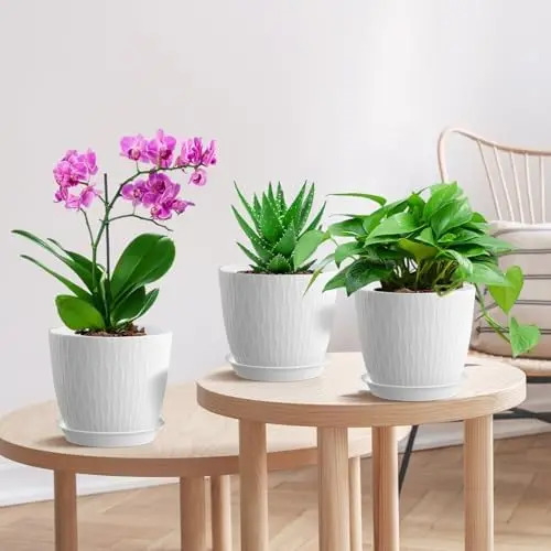 أوعية نباتات مقاس 7 بوصات، 5 عبوات مع فتحات وصحون تصريف، مزارعات بلاستيكية بيضاء للعصارة الداخلية #6