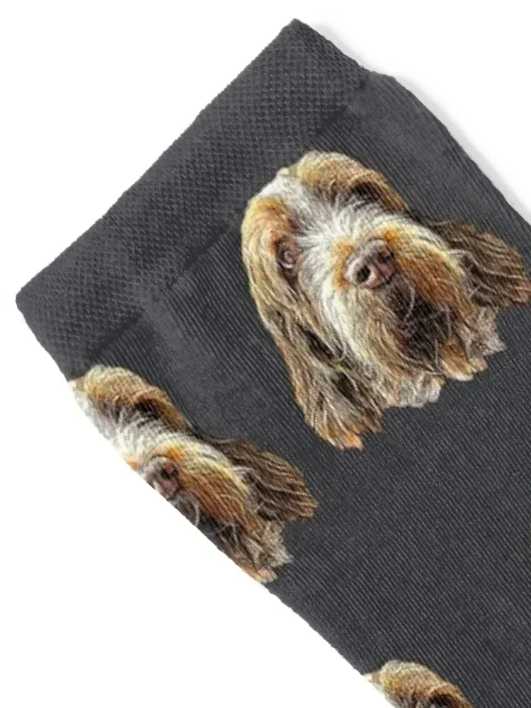 Spinone Italiano Socks Climbing sport New year's Rugby Socks Male Women's