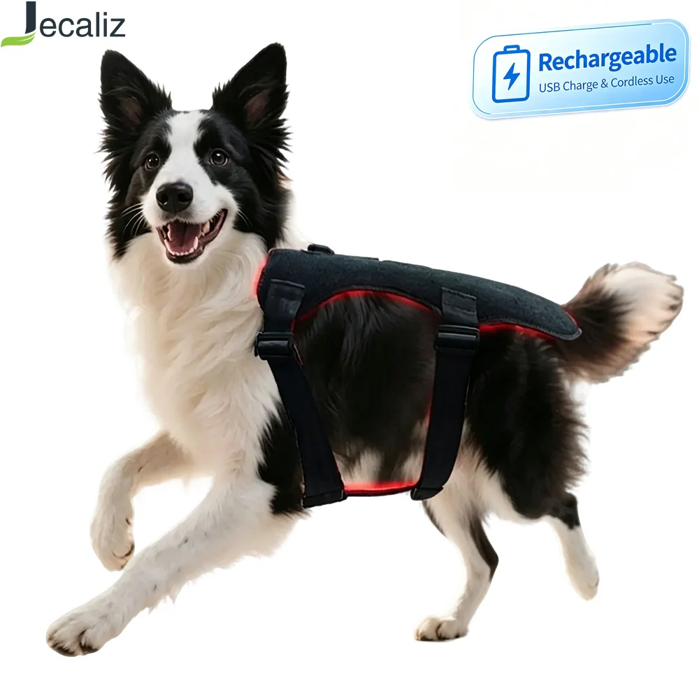 Veterinary Use Red Light LED Therapy Physiotherapy Equipment for Pet Dog Pain Relief Pain Reduce Rechargeable 660nm&850nm