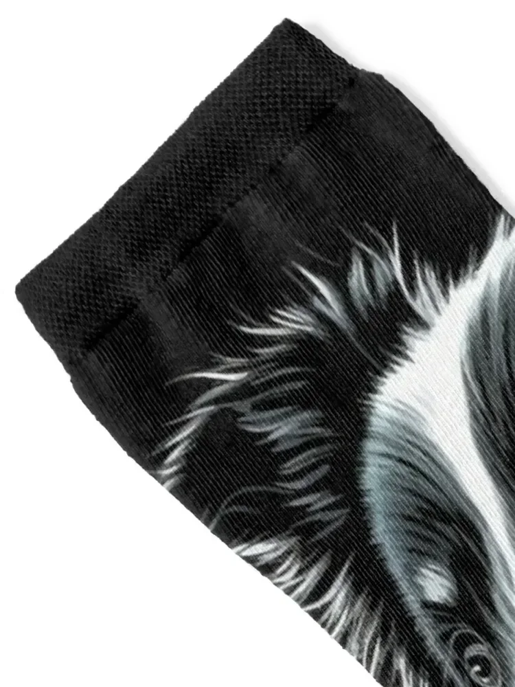 Border Collie Face For Dog Lover Socks tennis crazy sheer Luxury Woman Socks Men's