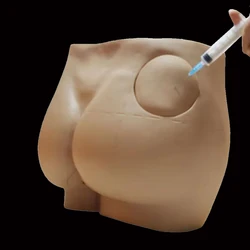 Buttock Injection Practice Model Human Hip Muscle Intramuscular Injection Silicone Simulator Medical Teaching Resources New