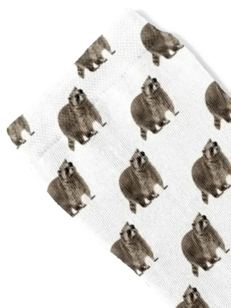 Rad Racoon Meias curtas antiderrapantes para academia Designer Man Socks femininas