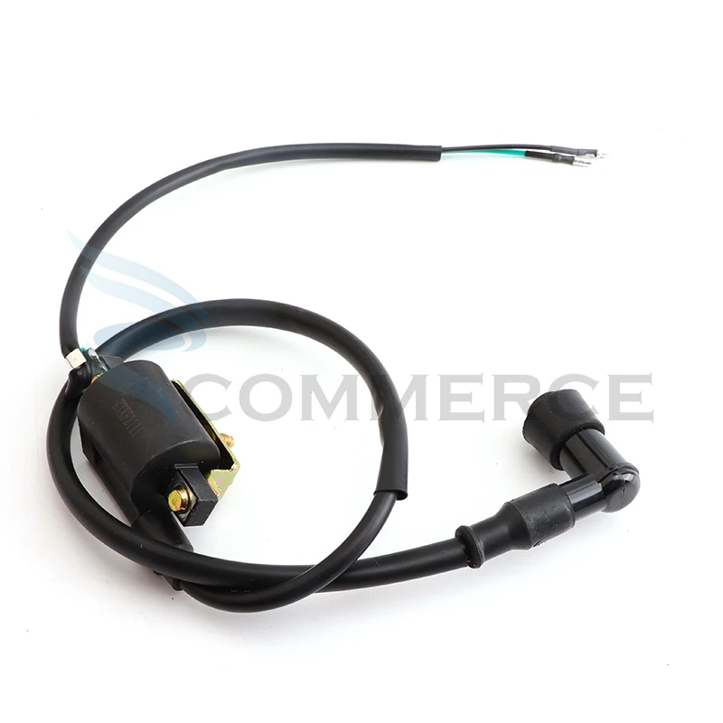 6V 2 Wire Ignition …