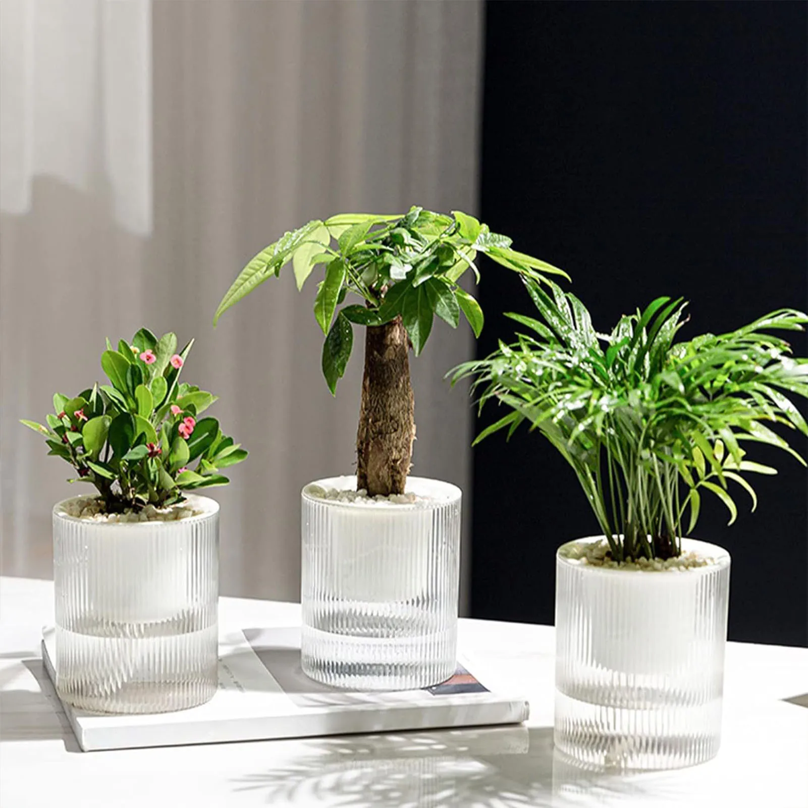 

Self Watering Flowerpot Indoor Succulent Hydroponic Plants Pot Planter Pots Fish Tank Tabletop Flower Pot Home Bonsai-Decor