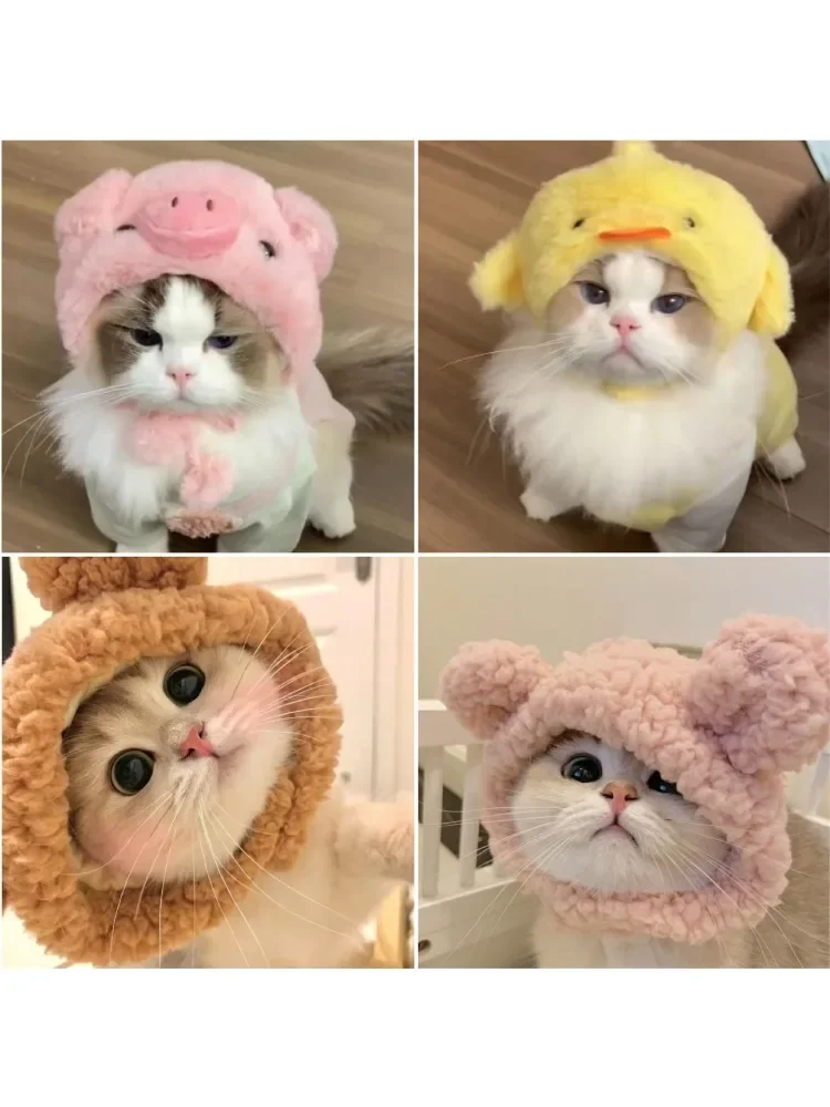 Zabawna czapka z kotem Niedźwiedź Pluszowa nakrycie głowy Śliczny kot Pies Tkany ciepły nakrycie głowy Czapka dla zwierząt Kociak Szczeniak Kostium Cosplay Akcesoria — zdjęcie 2