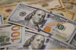 Collegamento speciale per la spedizione delle merci o le differenze di prezzo del prodotto