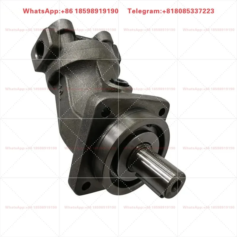 

A2F A2 A2FM A2FM56/61W-VAB020 Bent Shaft Fixed Hydraulic Pump Motor for Industrial Hydraulic Spare Parts