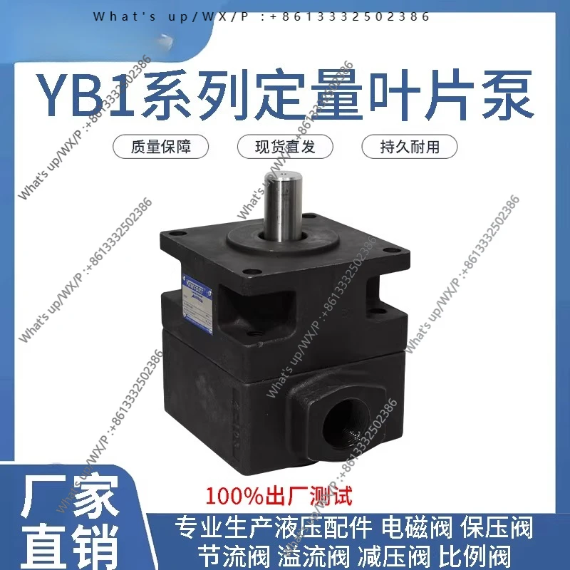YB1-63, YB1-80, YB1-100 quantitative vane pump