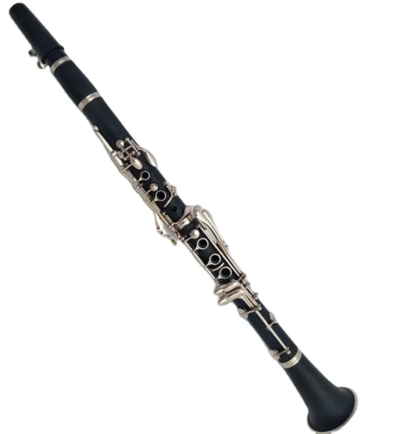 

Weifang Rebon Bb 17 key cheap Clarinet