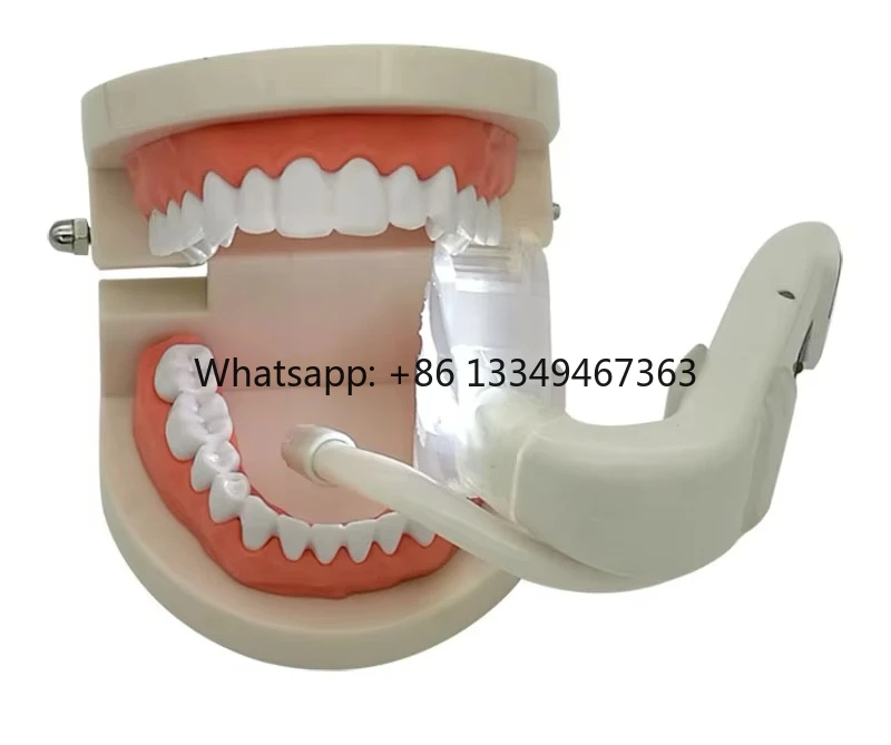 

High Quality Equipment Wireless Examination Light Fast delivery