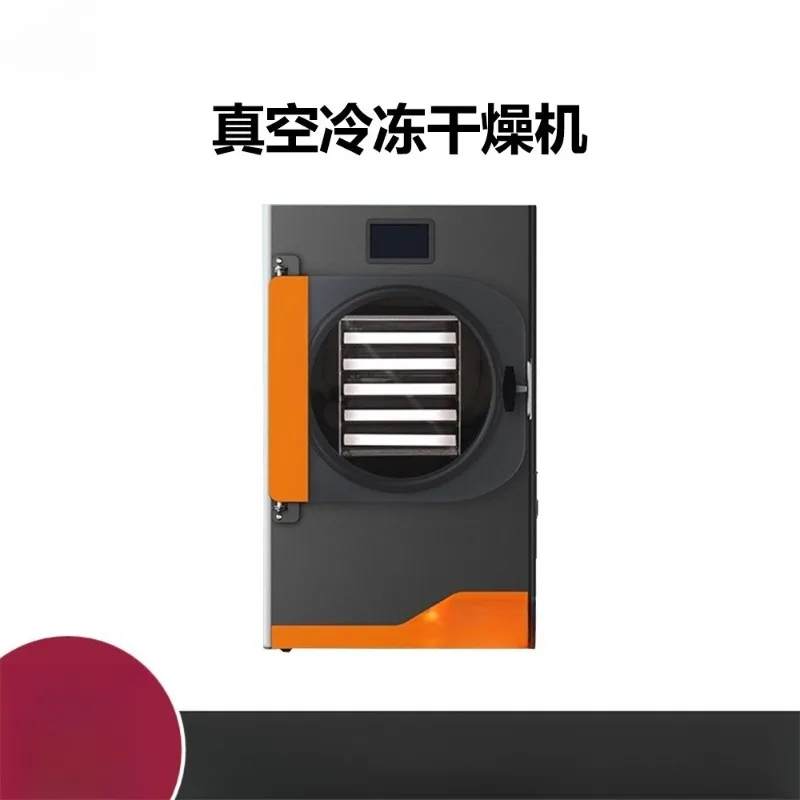 Vacuum Freeze Dryer Food Fruit Vegetarian Freeze Drying Machine Scientific Research Pet Commercial Freeze Drying Machine
