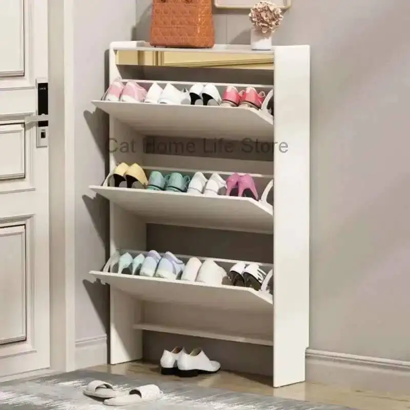 

Space Modern Ultra Turnable Saving Shoe Cabinet Thin Shoe Rack Living Room Organizer Armario Para Zapatos Hallway Furniture