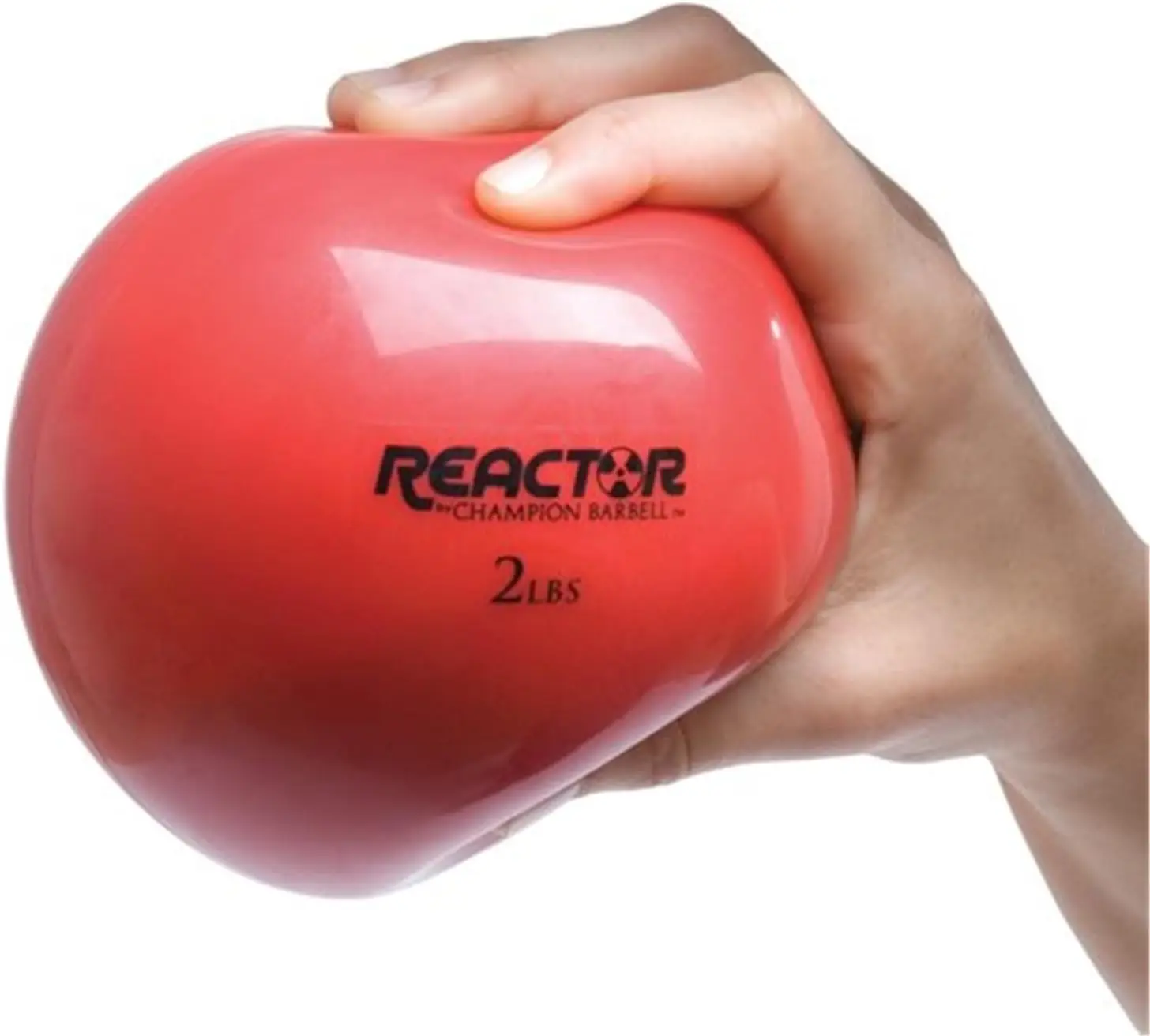 

Hand Held Fitness Ball 2 lbs Soft Weighted Vinyl for Core Stability Gym Exercise