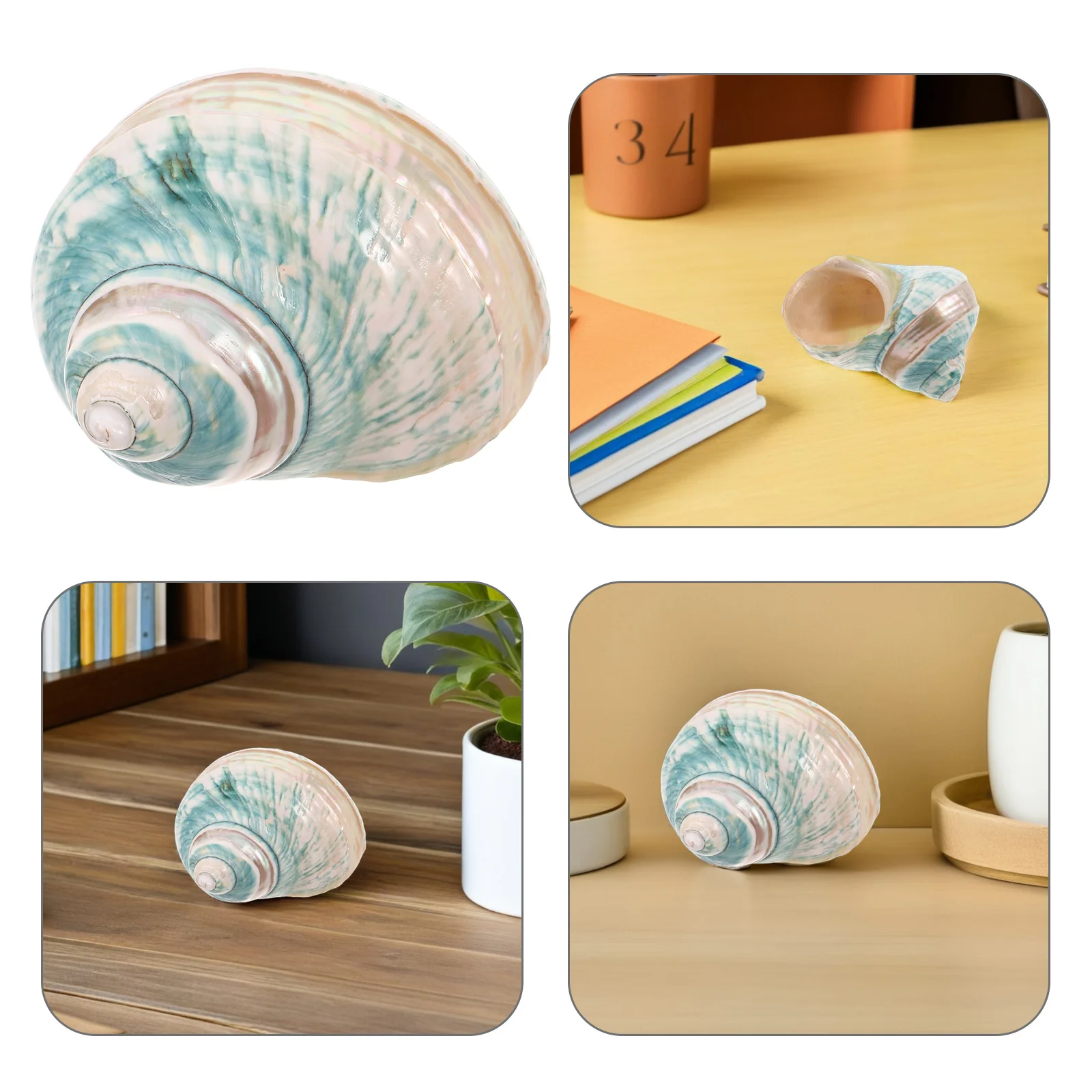 

Natural Conch Shell Specimen Decorative Seashells Aquarium Tank Ornament Desktop Nautical Craft Home Beach Landscape Fish Tank