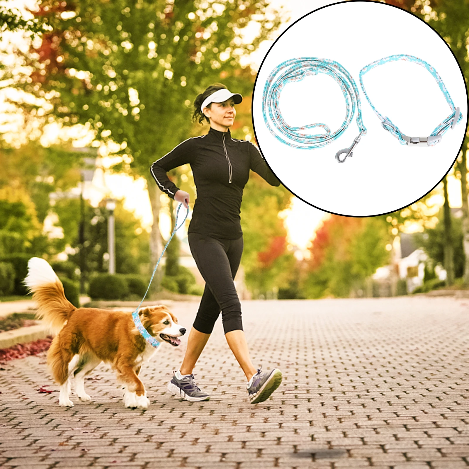 

2 Pcs Pet Collar Stripe Use for Large Breed Dogs Safe Rope Walking Leash Camping Bridegroom