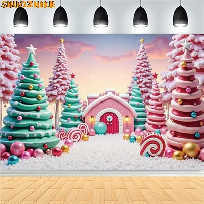 

Christmas Day Wreath Family New Year Party Photography Backdrops Prop Window Living Room Xmas Tree Gift Snow Background VN-03