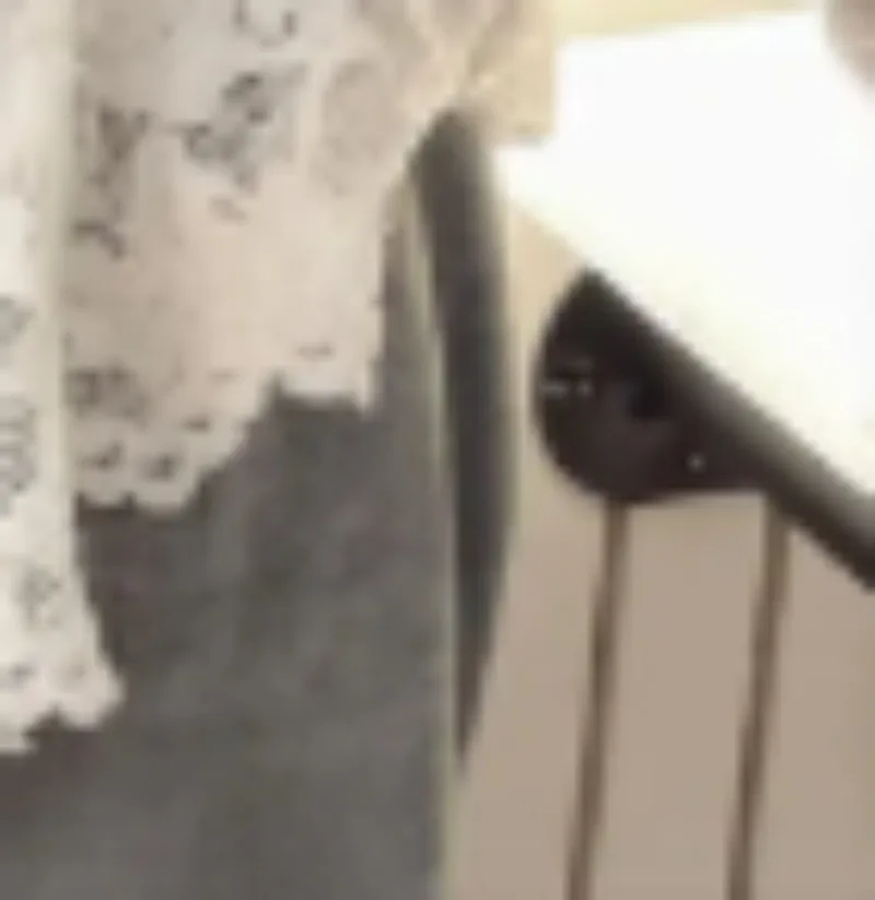 

High-quality Thick Lace Oversize Shirt Women See Through V Neck Basic Blouse Top Lady Casual Long Sleeve Button Down Shirts