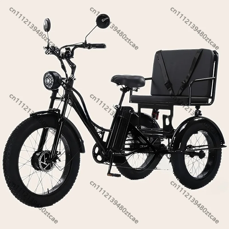 750W 48V Electric Tricycle, 2-Seater Adult Trike, Fat Tire with Removable Battery, Passenger Seat