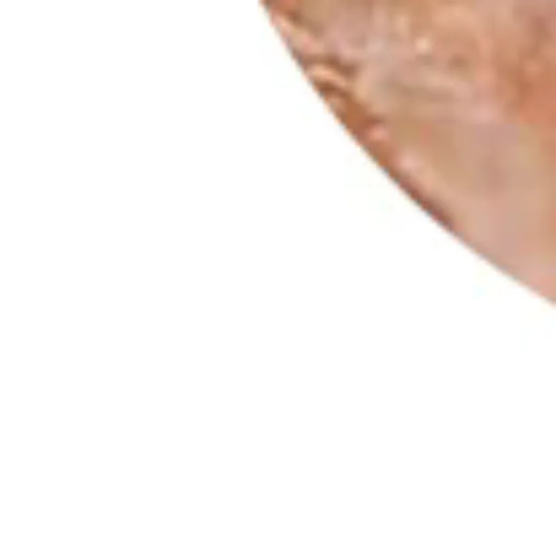 

100Pcs Lifting Needle Ear Acupuncture Ear Acupuncture Massage Needle Acupuncture Pressure Needle One-time Relaxation Ear Paste